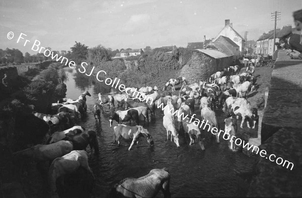 DUFFY'S CIRCUS WATERING THE HORSES IN THE RIVER